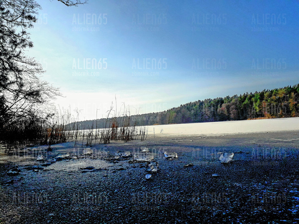 20190130_161541.jpg - Alien65