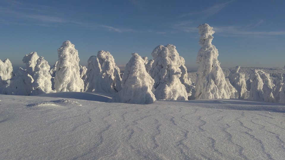 IMG_20190130_152232.jpg - StrongPecker