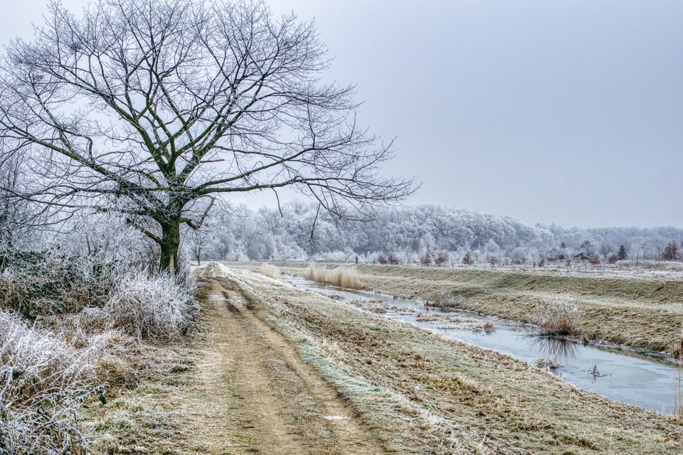 siwo i biało - marquiz