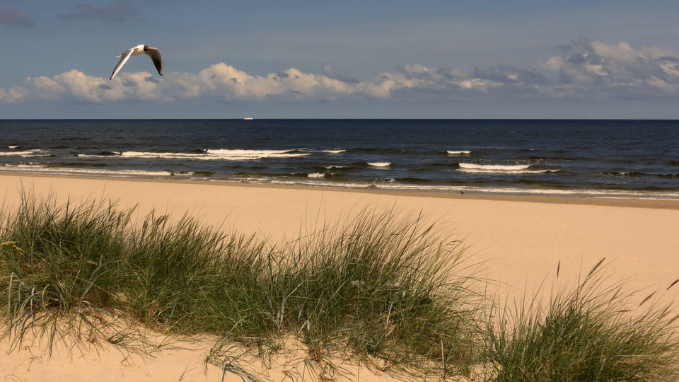 IMG_5626.JPG - eroteooo