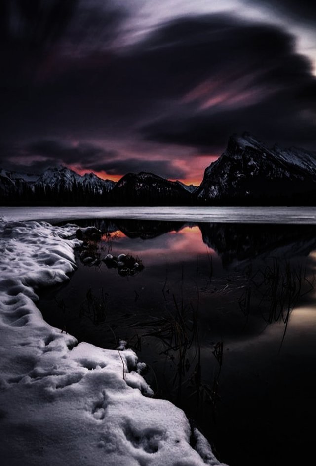 niebianskieuniesienie