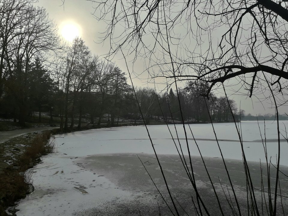 20190201_133937.jpg - Alien65