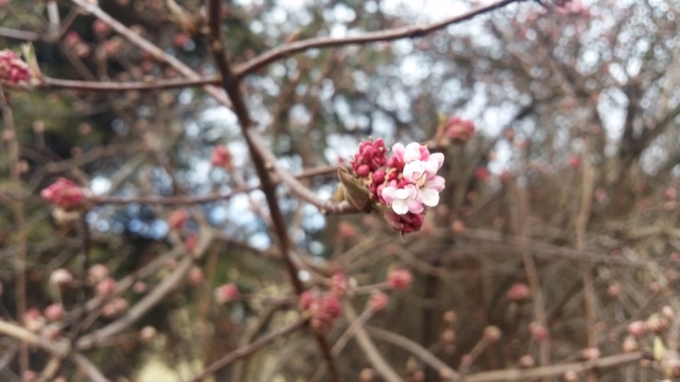 20190202_135143.jpg - Nice71