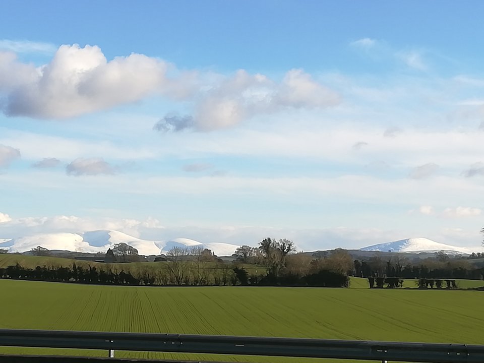 IMG_20190201_140139.jpg - paluszekbi