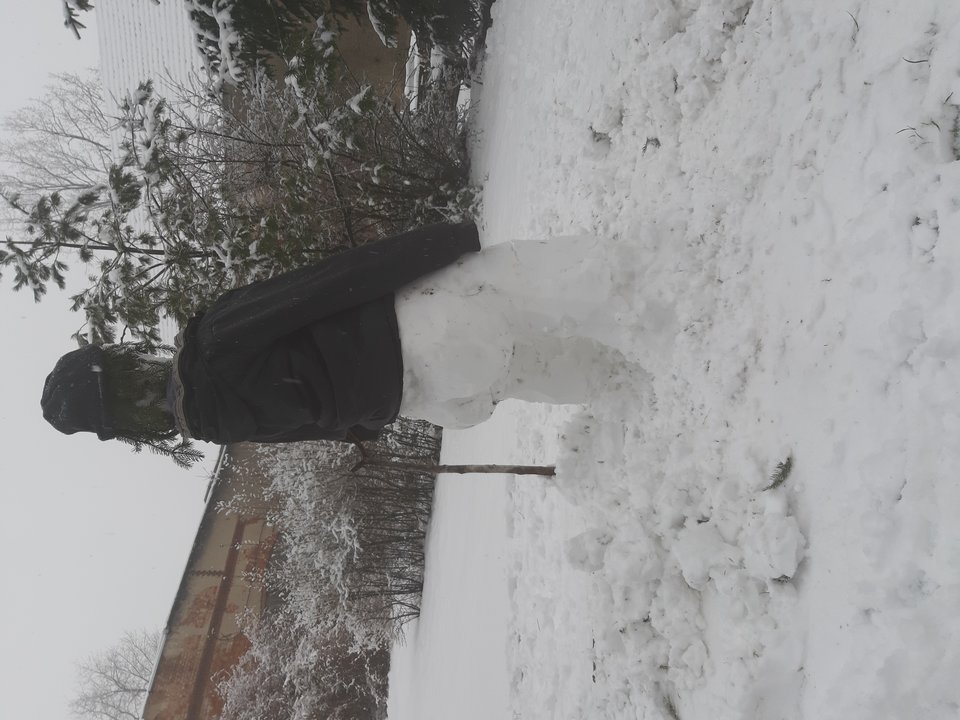 20190203_112821.jpg - Arcxi