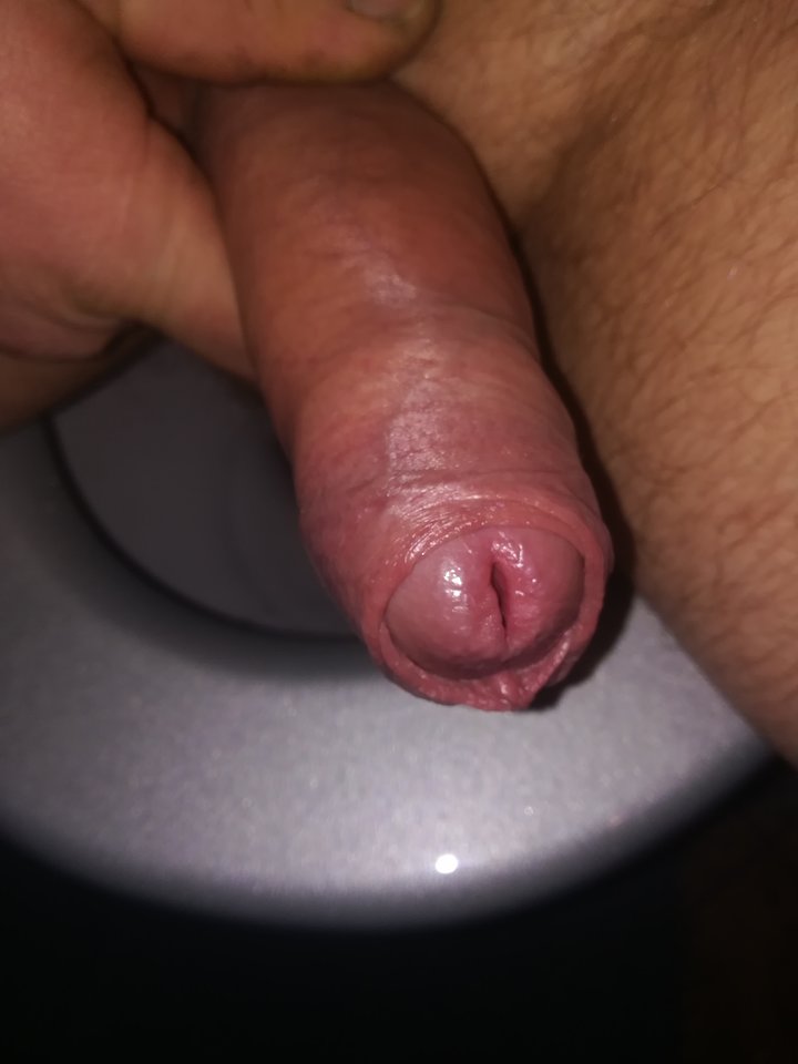 IMG_20190204_053125.jpg - grzegorz790