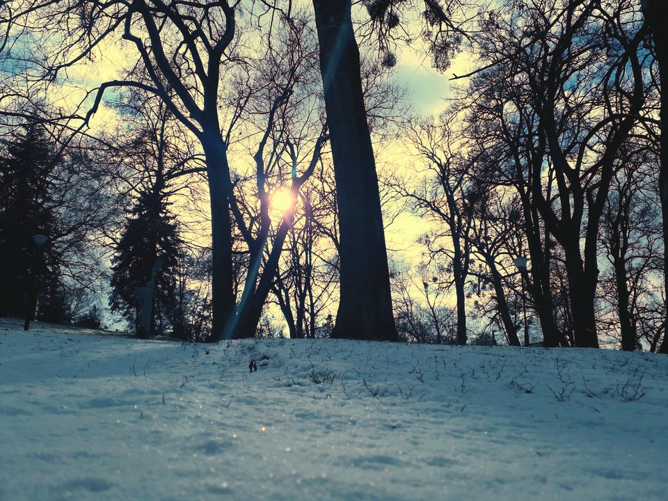 20190204_132630.jpg - Alien65