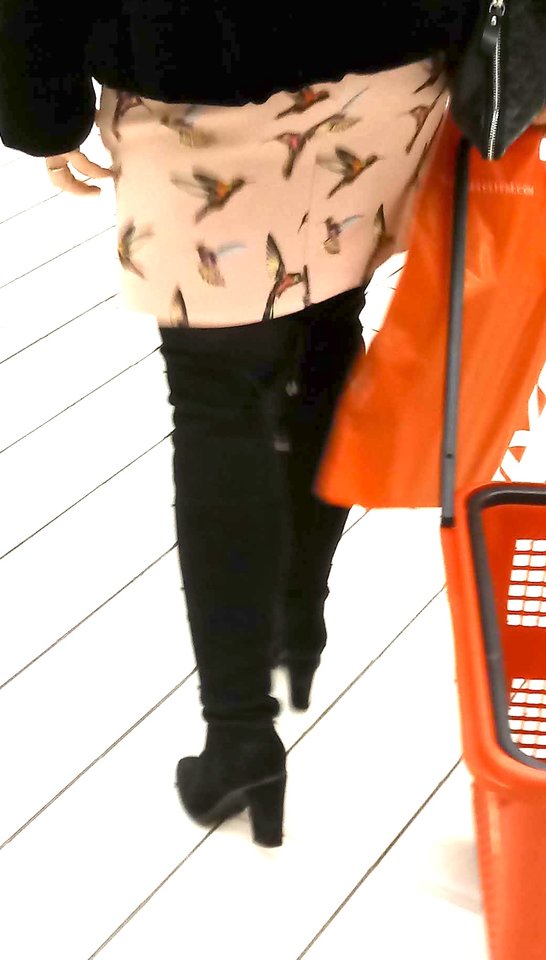 201902043403cz.jpg - AGALA