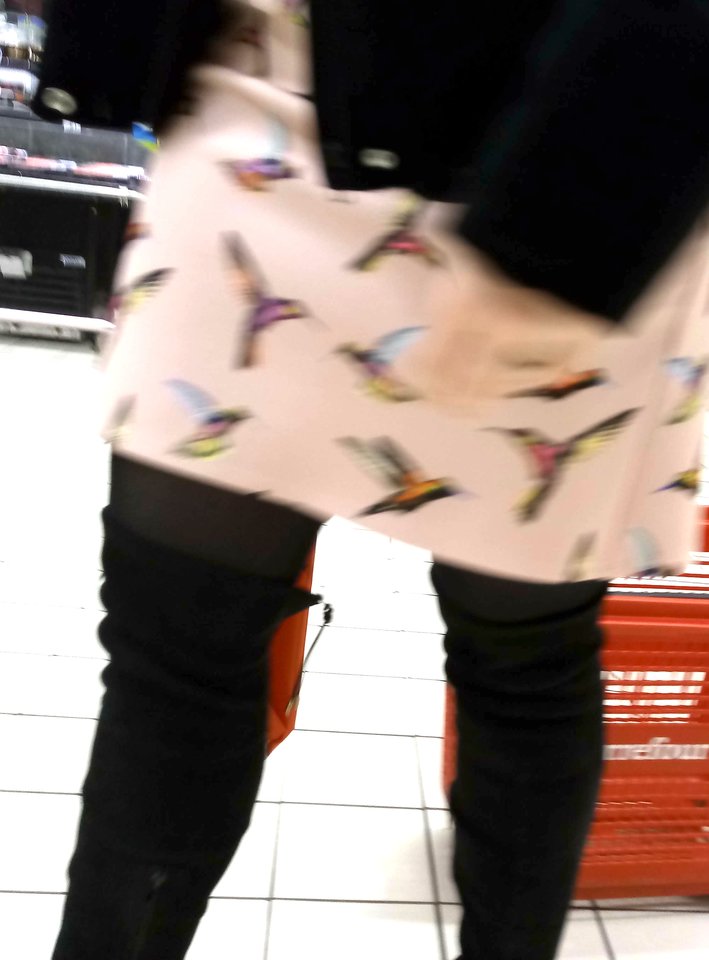 201902043407cz.jpg - AGALA