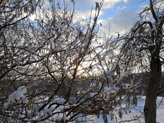 IMG_20190204_160301.jpg