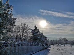 IMG_20190205_101343.jpg