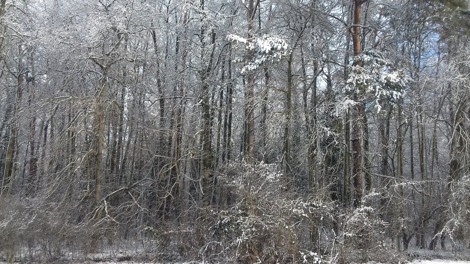 20190205_111130.jpg - invader__