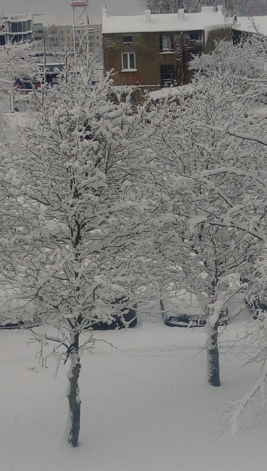 IMAG0360.jpg - dyskretny76realny