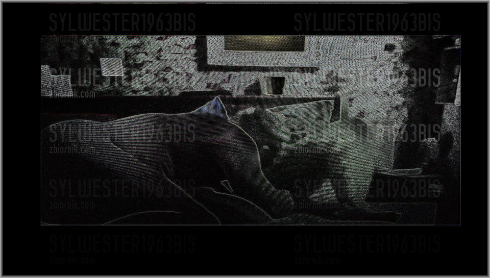 20170803_225132_LLS.jpg - sylwester1963bis