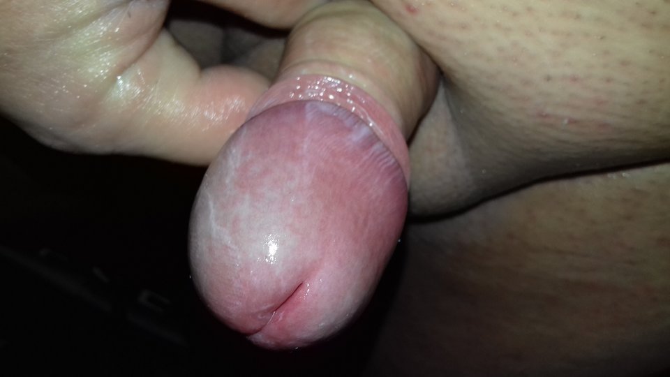 20190208_045652.jpg - robercu