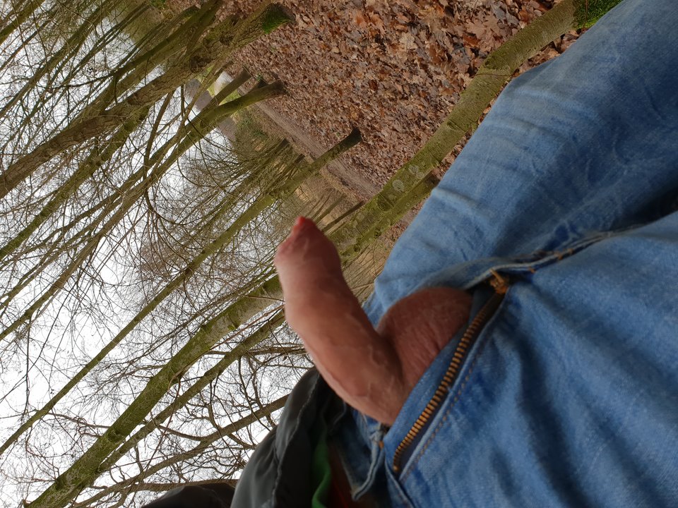 20190208_134722.jpg - Skalar33