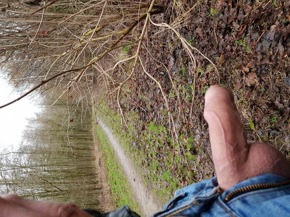 20190208_135653.jpg - Skalar33