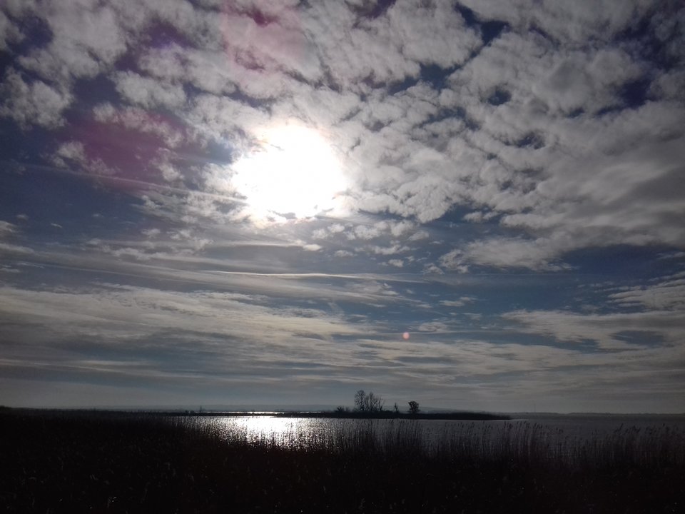 20190207_125229.jpg - torii99