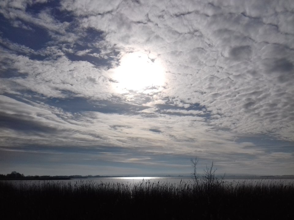 20190207_123521.jpg - torii99