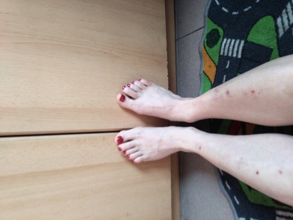 20190209_145617.jpg - ninatrans