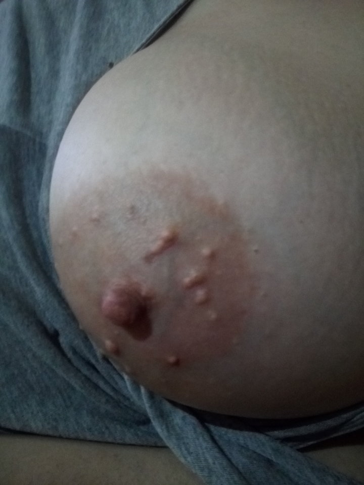 IMG_20190209_200351.jpg - Mrowka72