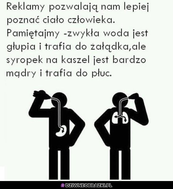 mądry syropek.jpg - szachmat_go