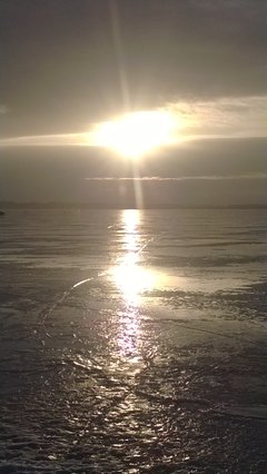 Przedwiośnie