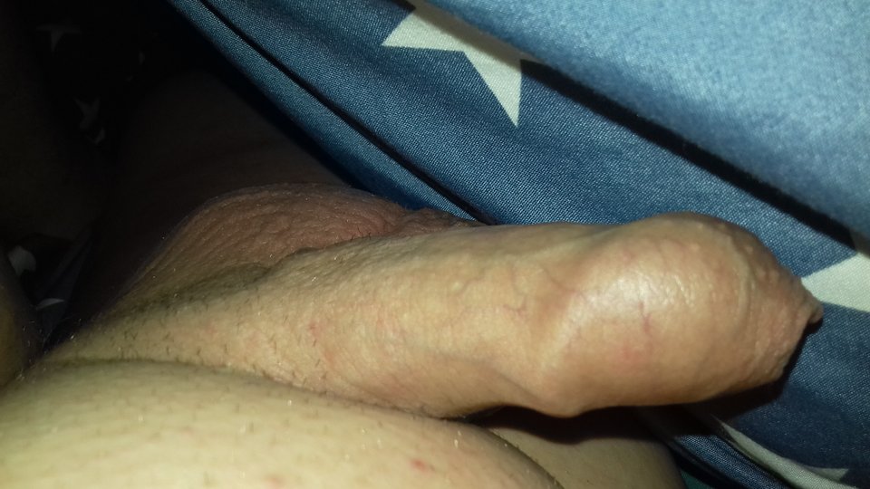 20190210_114029.jpg - robercu