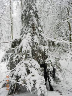 DSCN2620.JPG