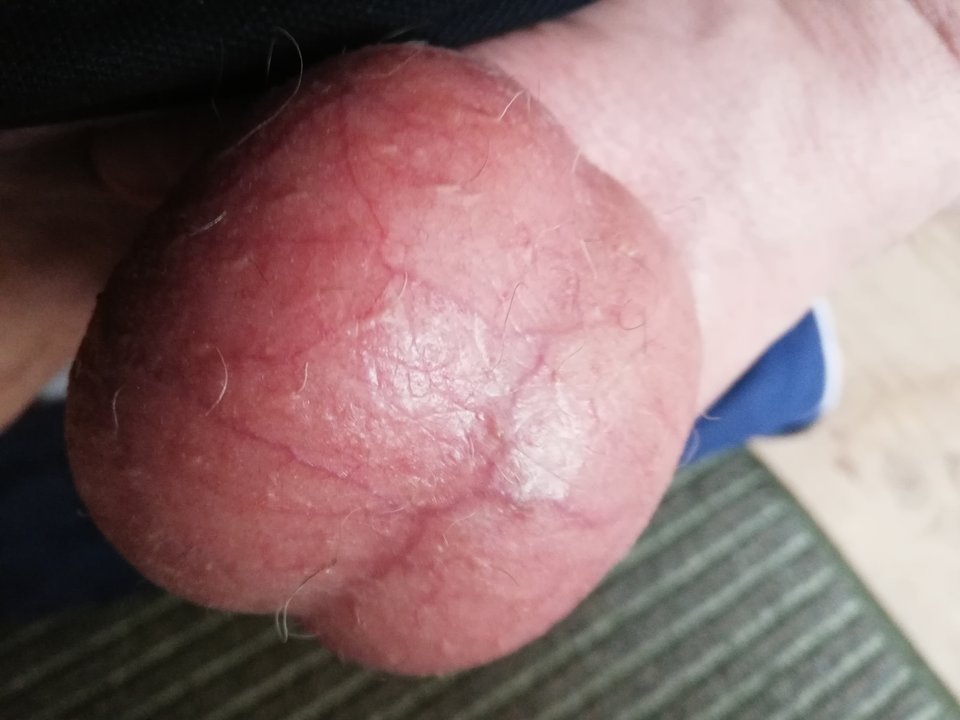 IMG_20190210_122415.jpg - kizior11