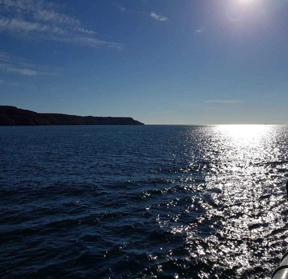 received_398084707593129.jpeg - tomren7073