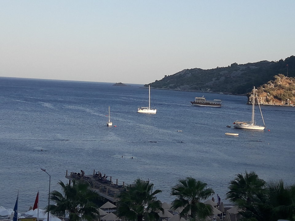 20180918_180905.jpg - brunet6999