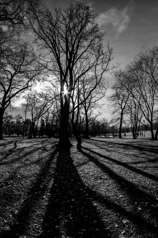 W cieniu cieni - mystic