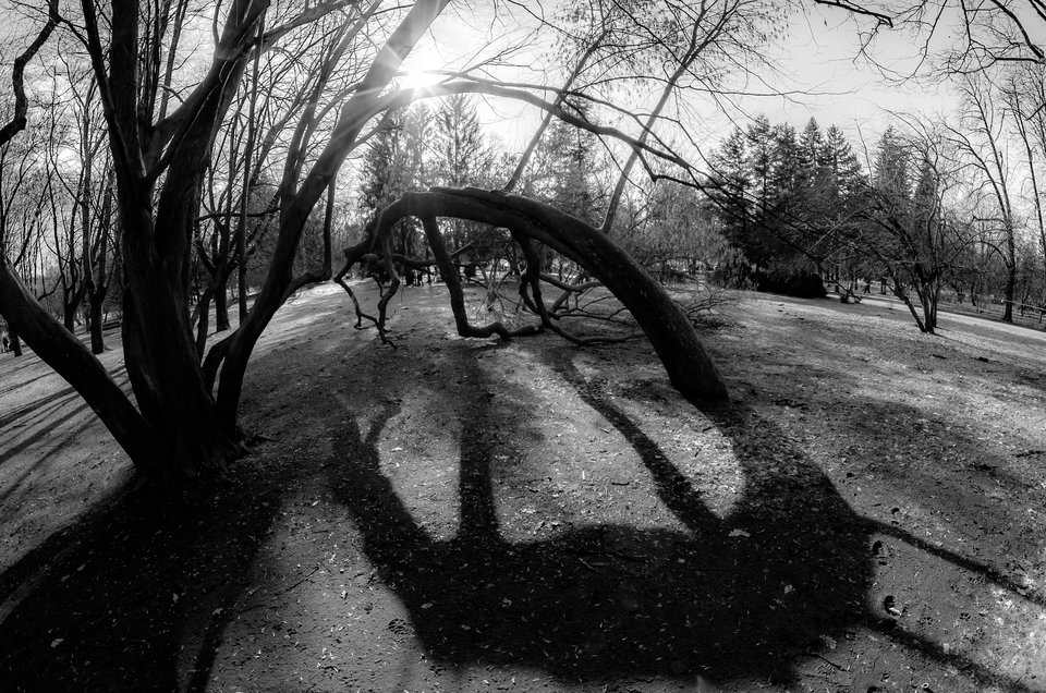 Cieniem malowane - mystic