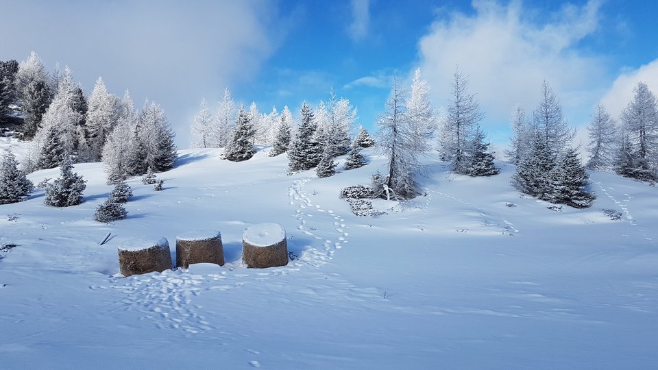 23.03.19. wracamy tam, kto chętny dołączyć ? :) - Erolinks