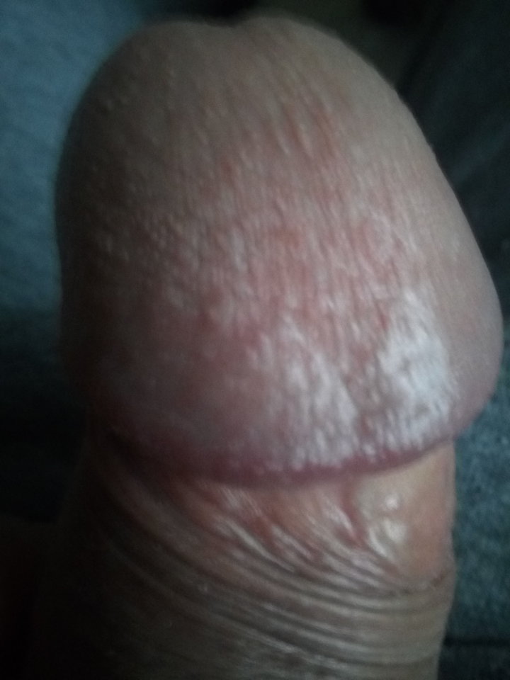 IMG_20190211_151857.jpg - Mrowka72