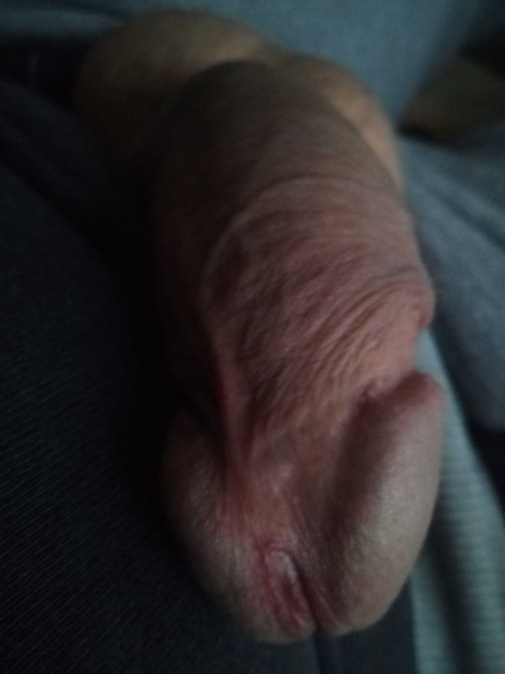 IMG_20190211_151831.jpg - Mrowka72