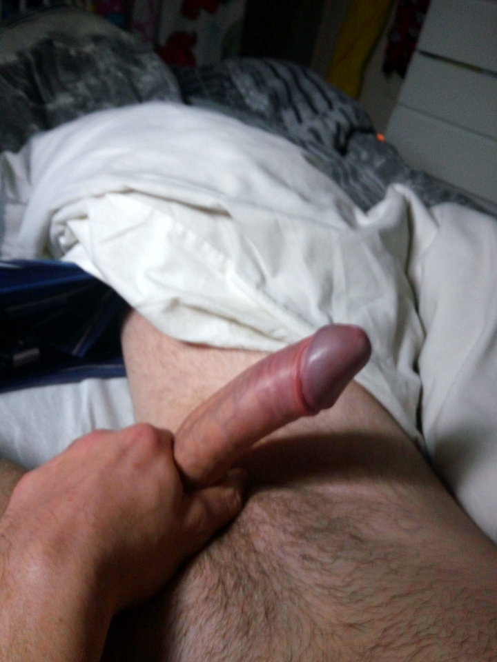 IMG_20190212_093744_HDR.jpg - pitbullx