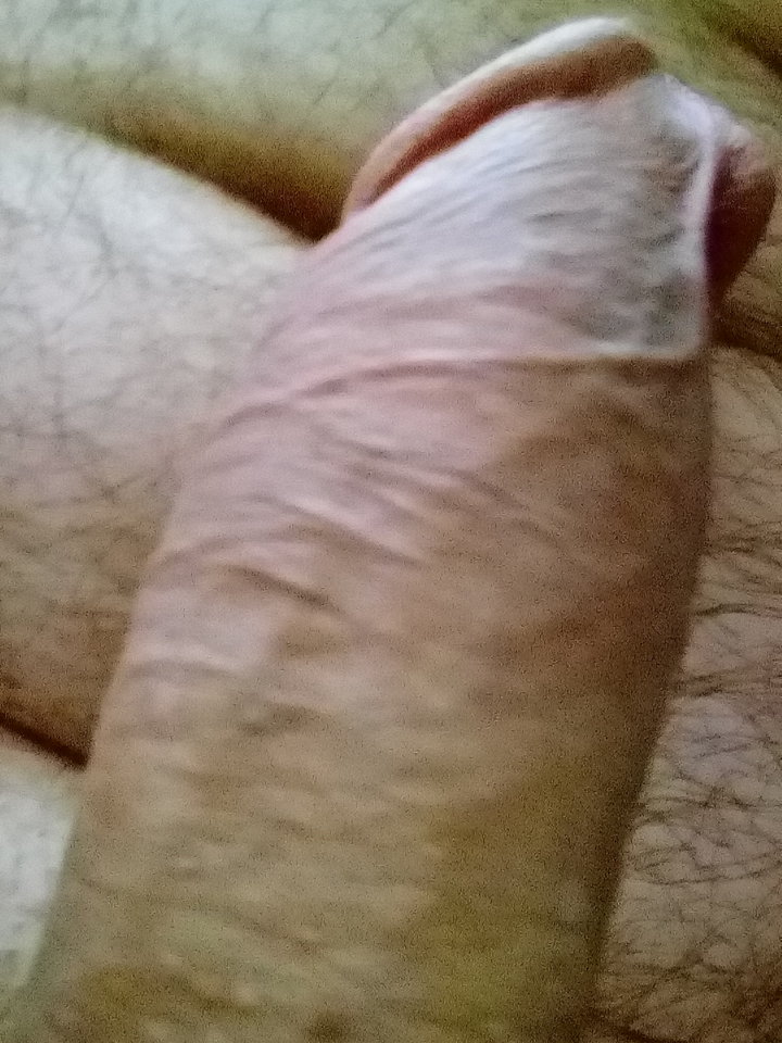 IMG_20190212_155515.jpg - Mrowka72