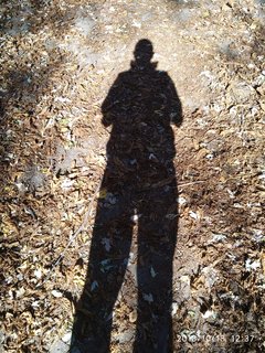 IMG_20181013_123759.jpg
