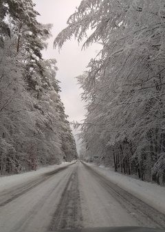 IMG_20190205_163711.jpg