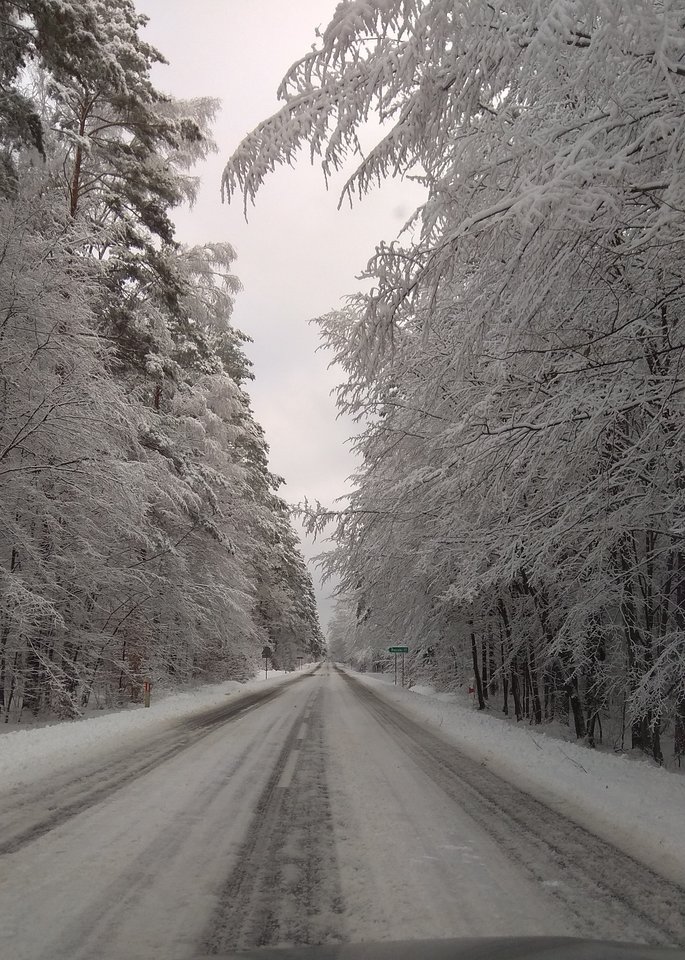 IMG_20190205_163711.jpg - Karamba76_