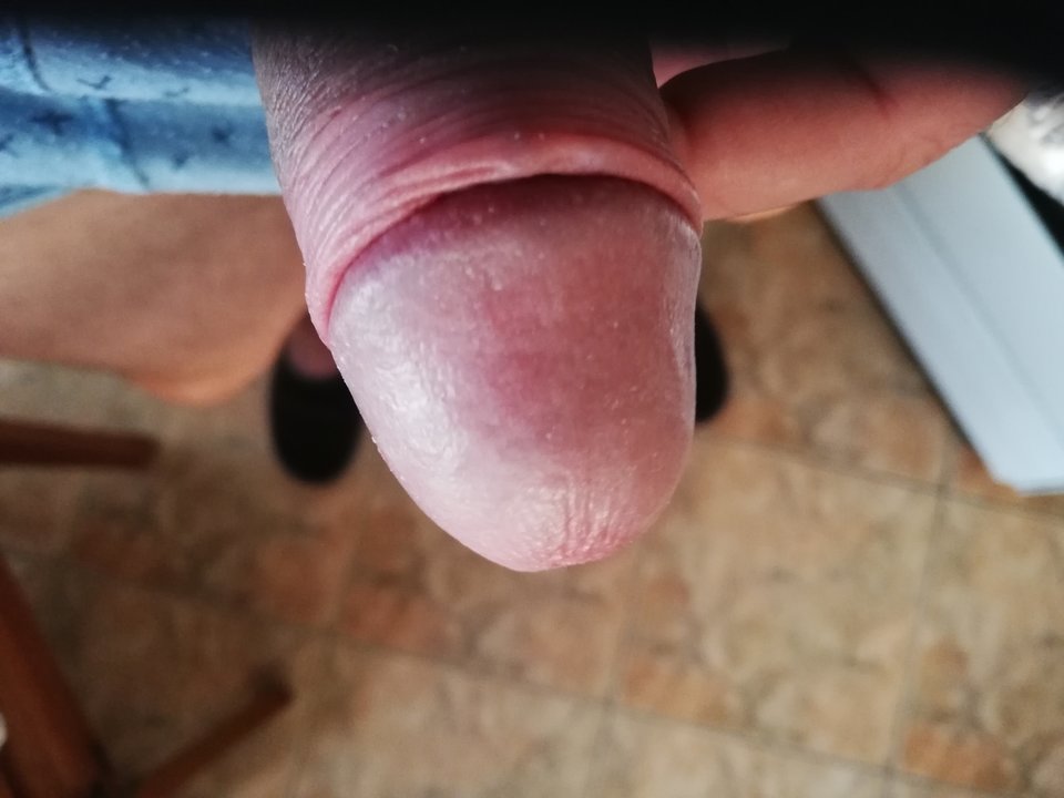 IMG_20190206_085601.jpg - koala11