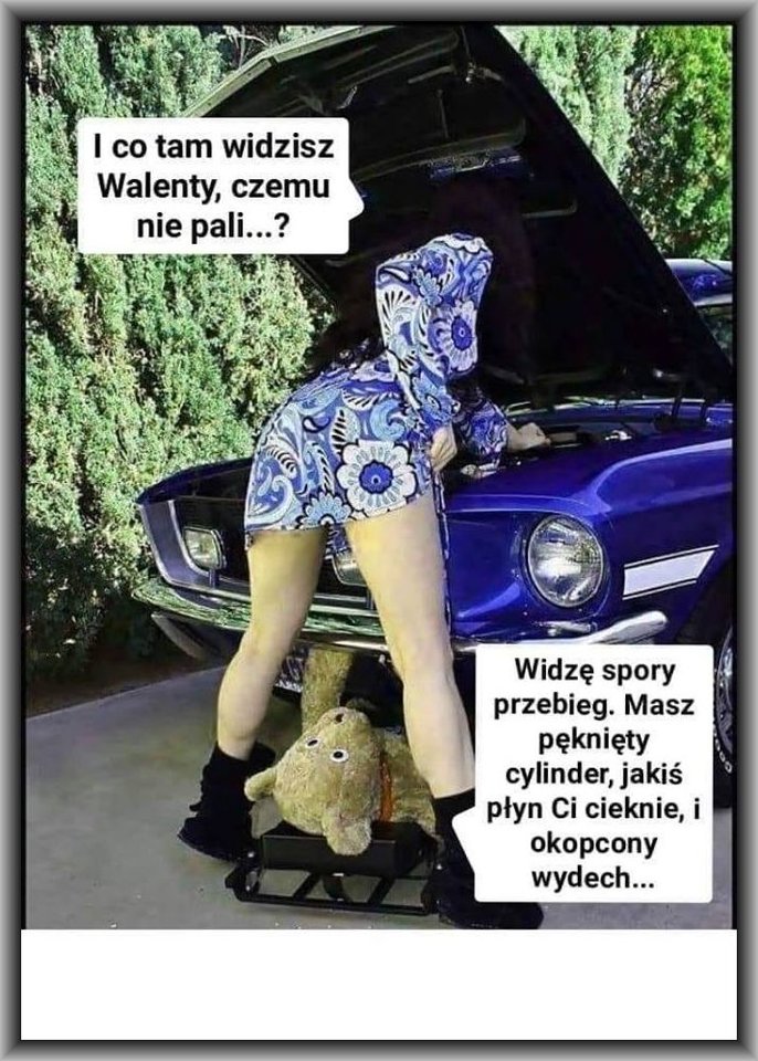 51206988_1178867035594796_2235607756914556928_n.jpg - sylwester1963bis