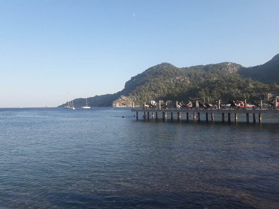 20180918_174723.jpg - brunet6999