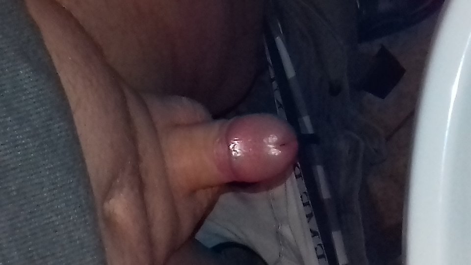 20190214_045451.jpg - robercu