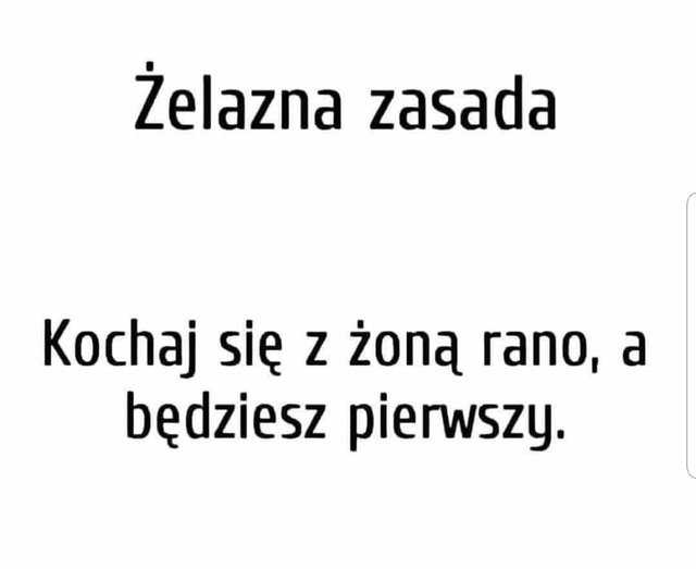 received_240993206782031.jpeg - On_Wawaaa