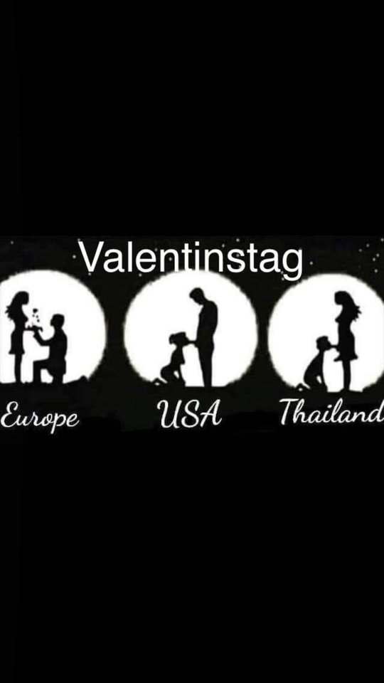 677FDEAB-77CA-4EDF-BCEB-DBF7B09AA37C.jpeg - Zoltar39