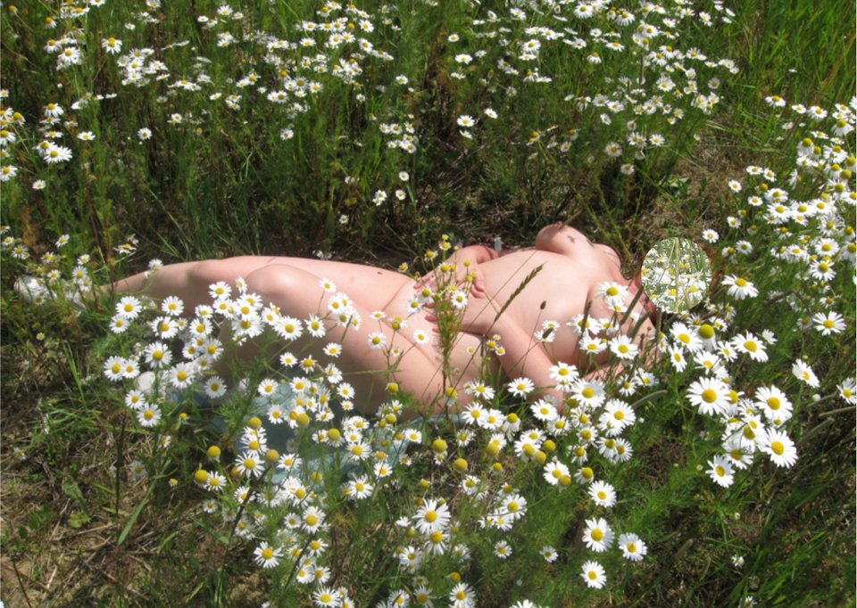 Bea5.jpg - Para_BandG