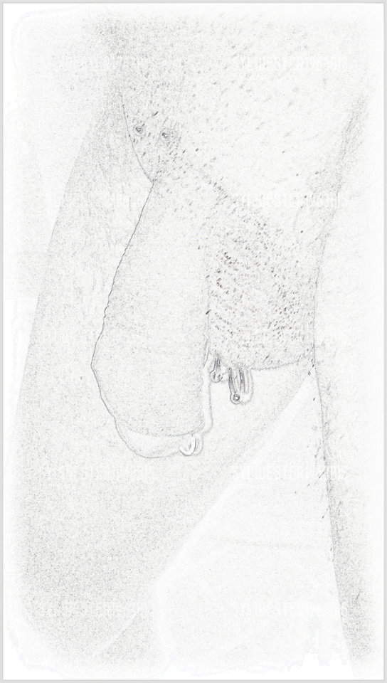 P_20180202_105446..1.jpg - sylwester1963bis